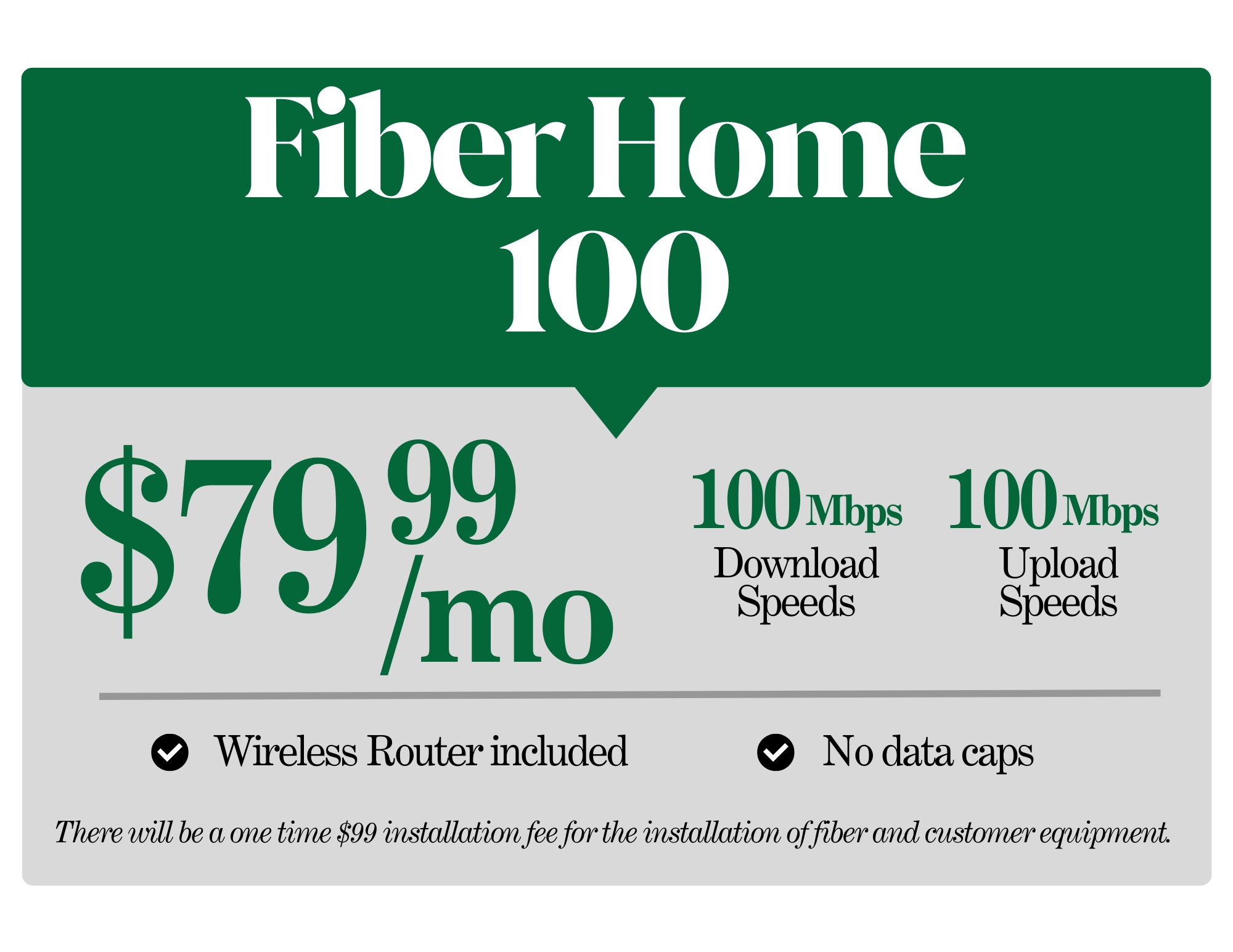 FiberHome 100