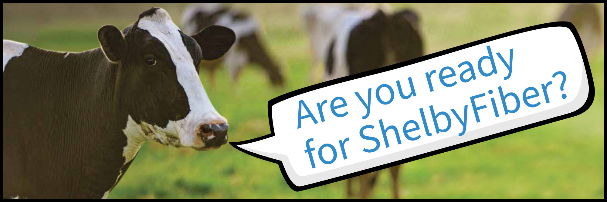 Are you ready for ShelbyFiber?